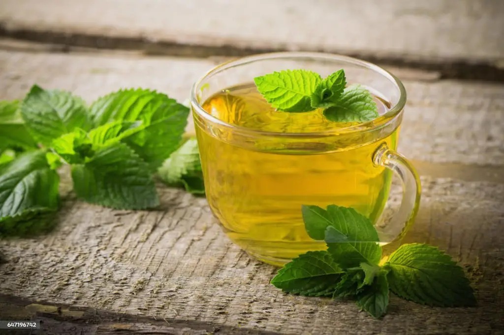 Basil Leaves: A Fresh Herb