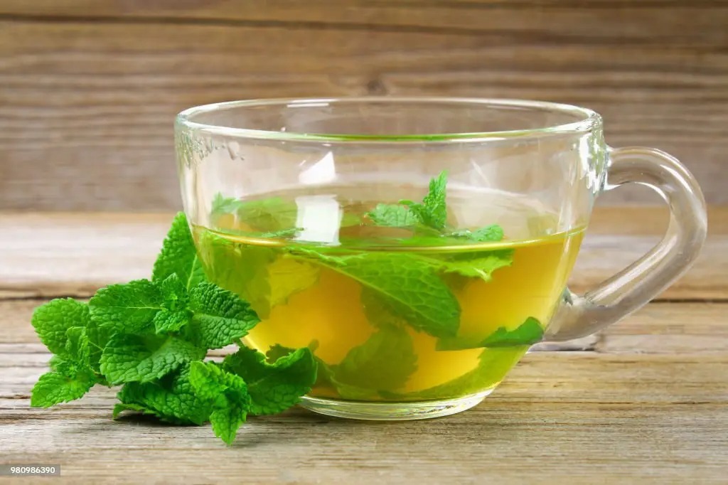 Mint Leaves: A Refreshing Herb